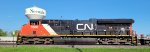 CN 3006